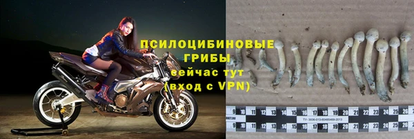 ешки Алексеевка