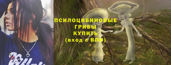 ешки Алексеевка