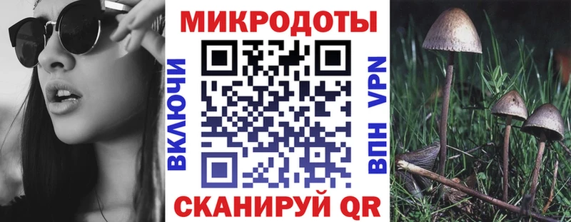 omg ONION  Муром  Псилоцибиновые грибы Cubensis 